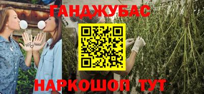 стаф Тула