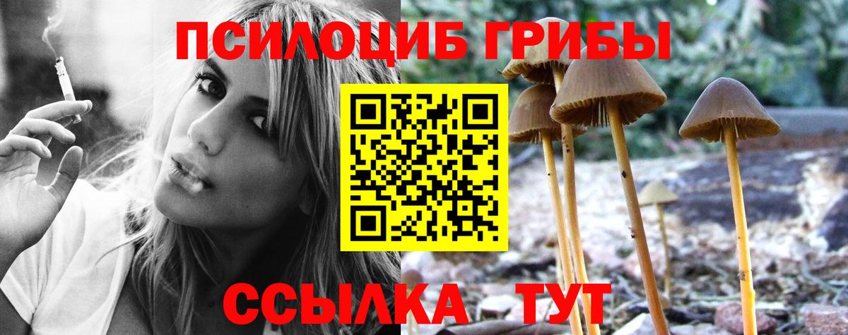 Шарыпово  Галлюциногенные грибы прущие грибы  Вход с VPN 