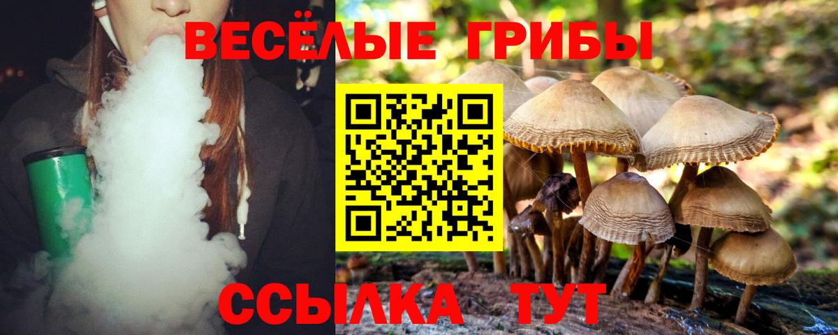 Галлюциногенные грибы MAGIC MUSHROOMS Шарыпово